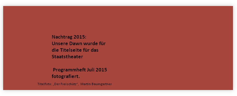 Titelfoto: „Der Freischütz“,  Martin Baumgartner