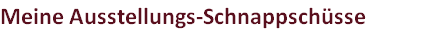 Meine Ausstellungs-Schnappschüsse