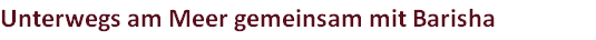 Unterwegs am Meer gemeinsam mit Barisha